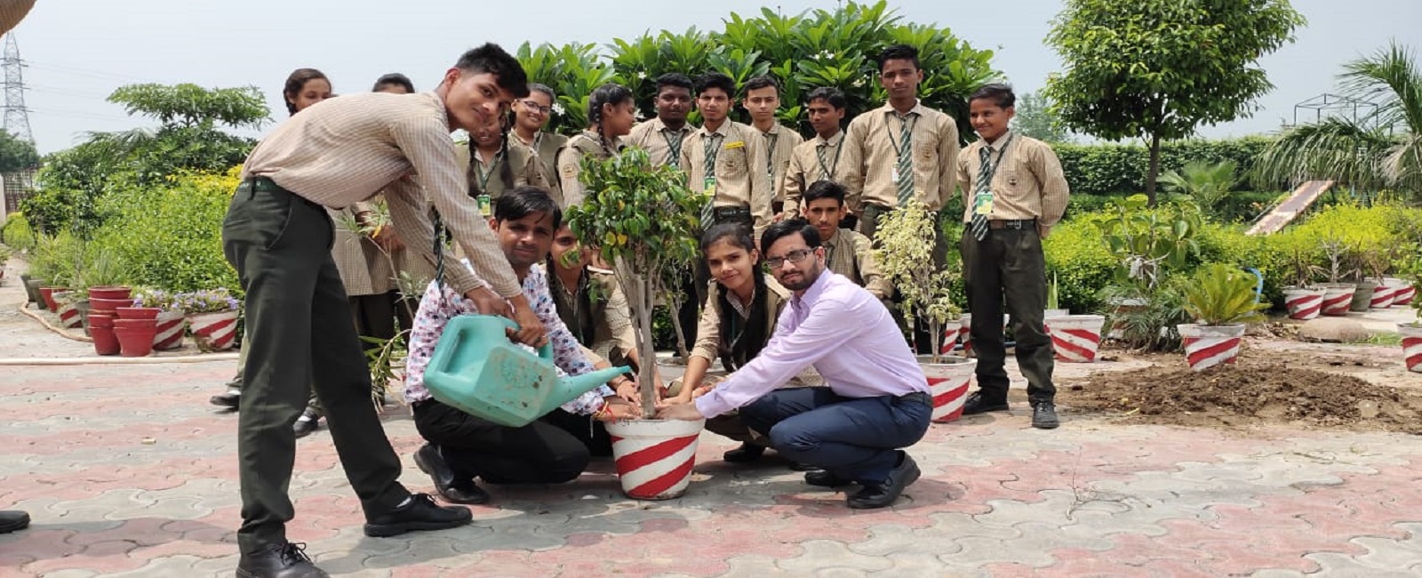 Caring The Nature